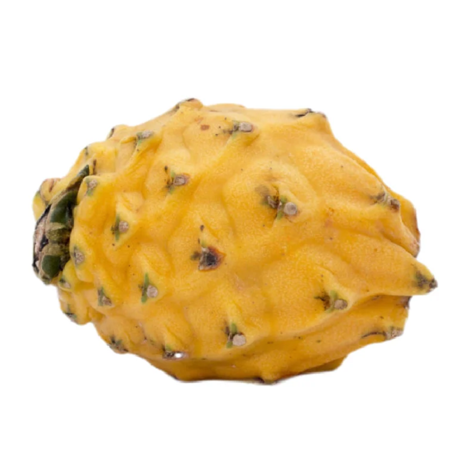 Premium Yellow Pithaya from Ecuador | Fresh Fruit Delivery Dubai | MJ Foodstuff