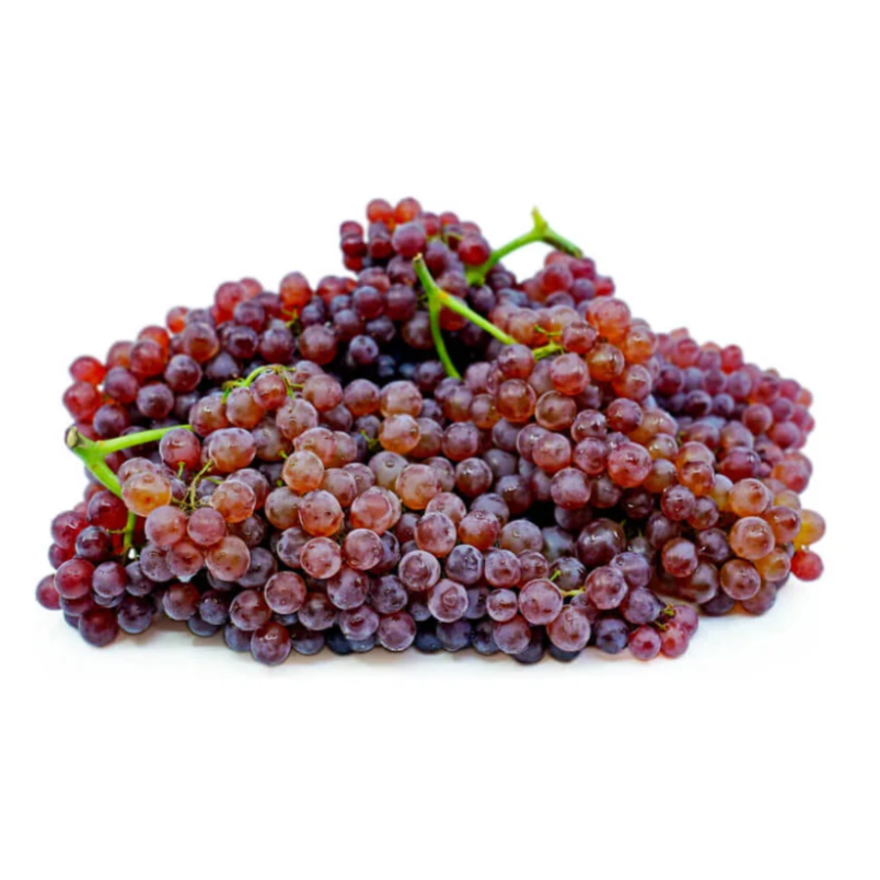 Premium Red Currant Grapes from GCC | Fresh Fruit Delivery Dubai | MJ Foodstuff