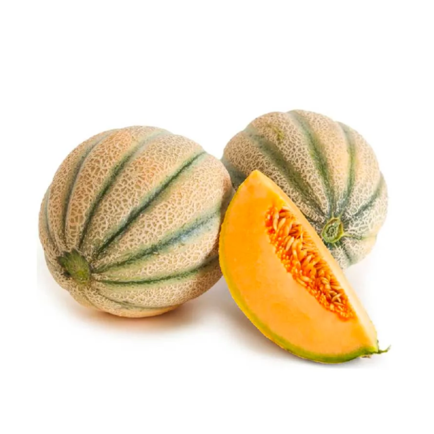 Rock Melon (GCC)