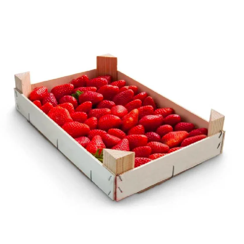Premium Strawberries from South Africa 1 Kg Box | Fresh Fruit Delivery Dubai | MJ Foodstuff