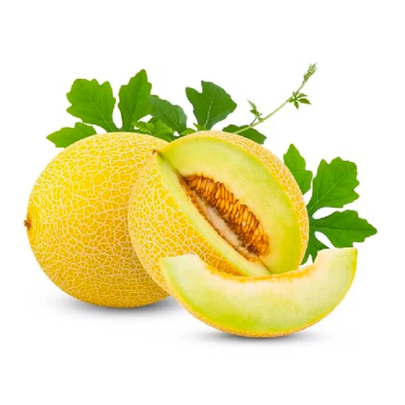 Premium Sweet Melon from Lebanon | Fresh Fruit Delivery Dubai | MJ Foodstuff