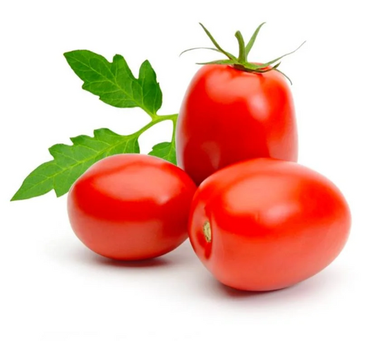 Premium Roma Tomato from Netherlands | Fresh Vegetable Delivery Dubai | MJ Foodstuff