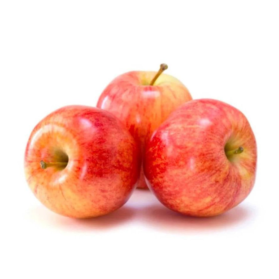 Apple Royal Gala-France