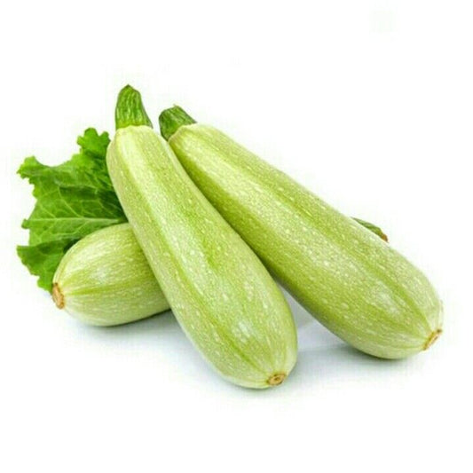 Marrow Uae