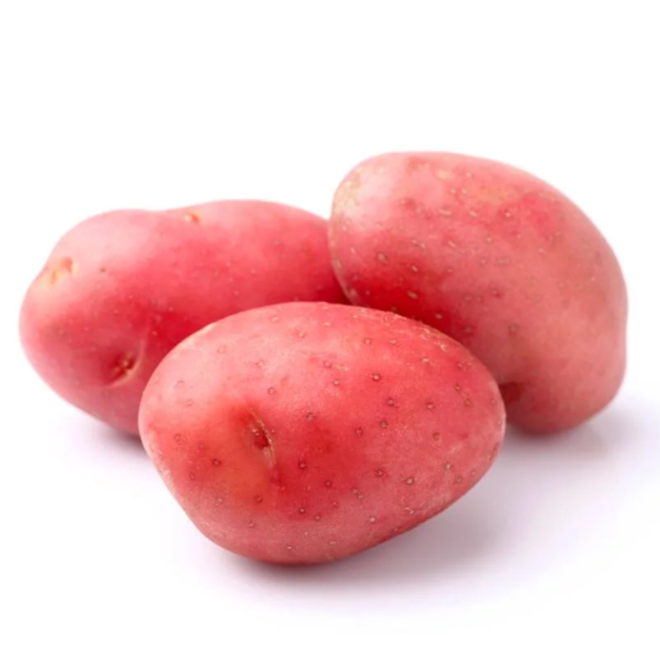 Premium Small Red Potatoes from Australia | Fresh Vegetable Delivery Dubai | MJ Foodstuff